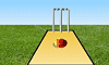 flash cards on cricket