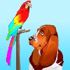 Pet Friendship