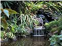 Living Waterfalls