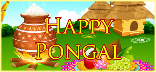 Happy Pongal Greeting Cards