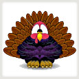 turkey