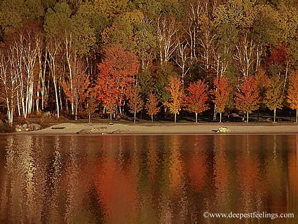 Fall Wallpaper Pictures Fall Wallpaper Pictures