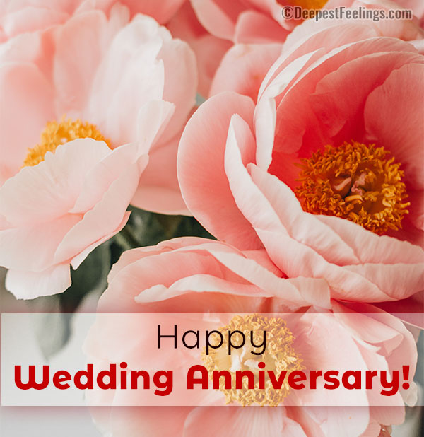 Happy wedding anniversary card with a beautiful flower background