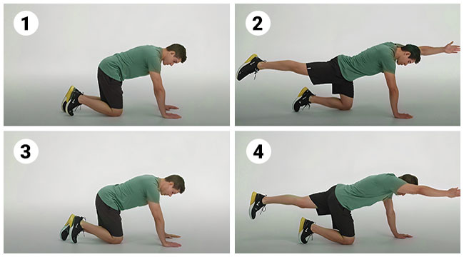 Bird Dog Exercise Benefits For Stability And Coordination Bird Dog Exercise Benefits For Stability And Coordination