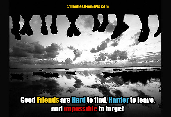 Good friends are hard to find card