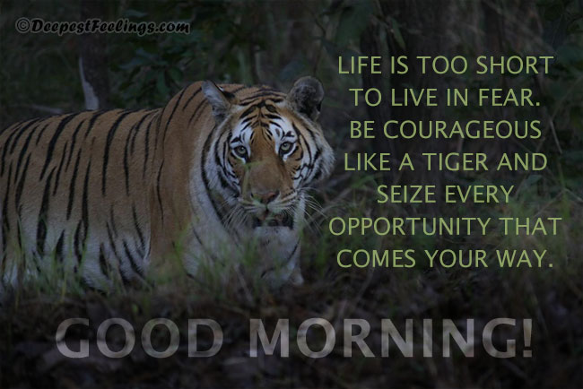 Good Morning image with a beautiful message on Tiger