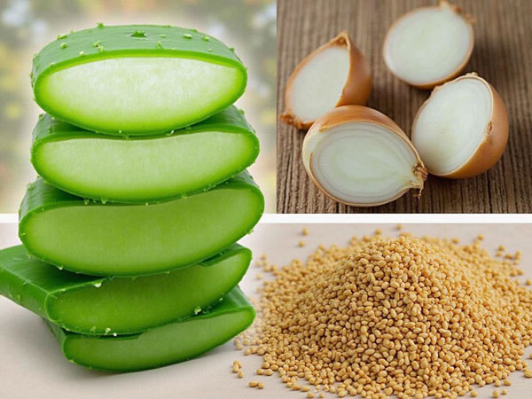Aloe vera, onion, and fenugreek seeds herbal solutions for enhancing hair growth naturally