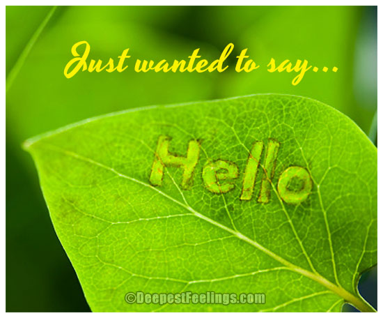 Hello greeting card with the background of green leaf