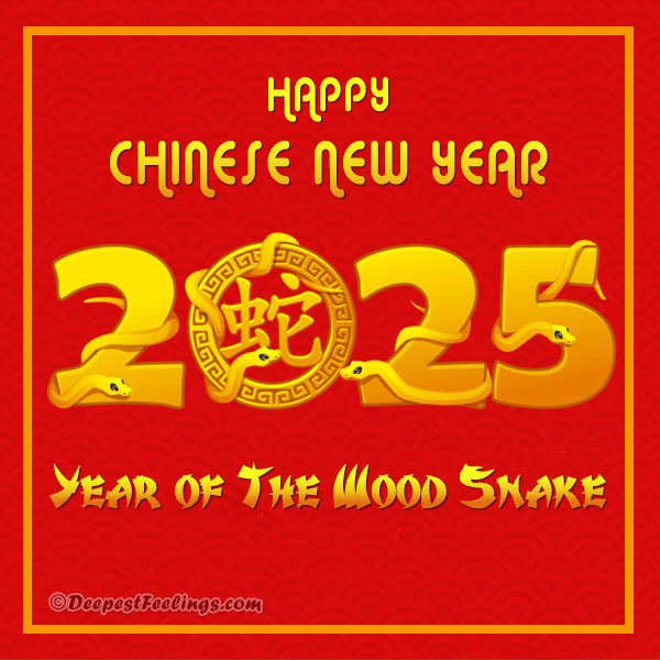 Lunar New Year 2023 Greetings Card