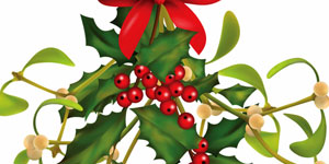 Christmas card featuring Mistletoe and wine