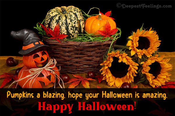 Halloween themed image card with a background of pumpkins and sunflowers
