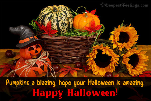 Happy Halloween 2023: Wishes, Messages, Quotes, Greeting cards