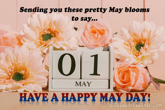 May greeting card with beautiful background of flowers