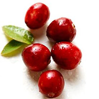 cranberry