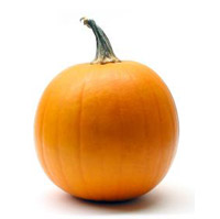 pumpkin