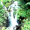 waterfall greeting cards