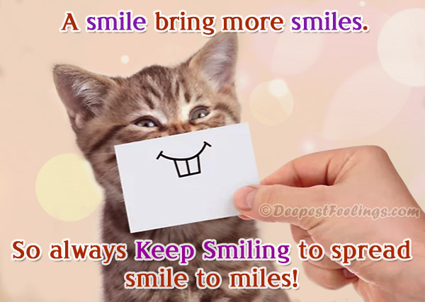 A beautiful smile card with a backgound of smiling cat