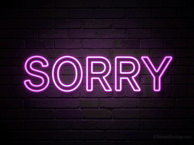 Pink neon "SORRY" sign on a dark brick wall for a digital apology card.